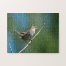 Zingende Marsh Wren jigzaagpuzzle