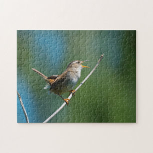 Zingende Marsh Wren jigzaagpuzzle Legpuzzel
