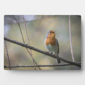 Zingende Roodborst Natuurfoto Fotoplaat (voorkant)