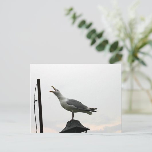 Zingende trek van CT Briefkaart (Staand voorkant)