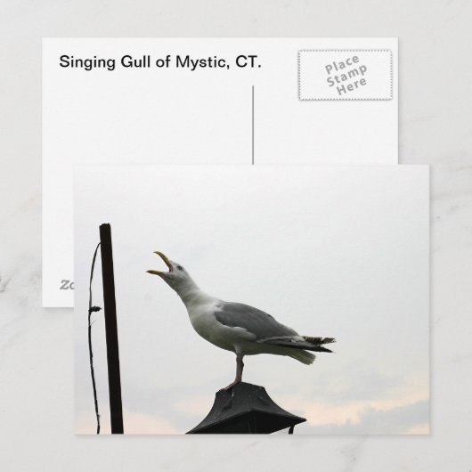 Zingende trek van CT Briefkaart (Voorkant / Achterkant)