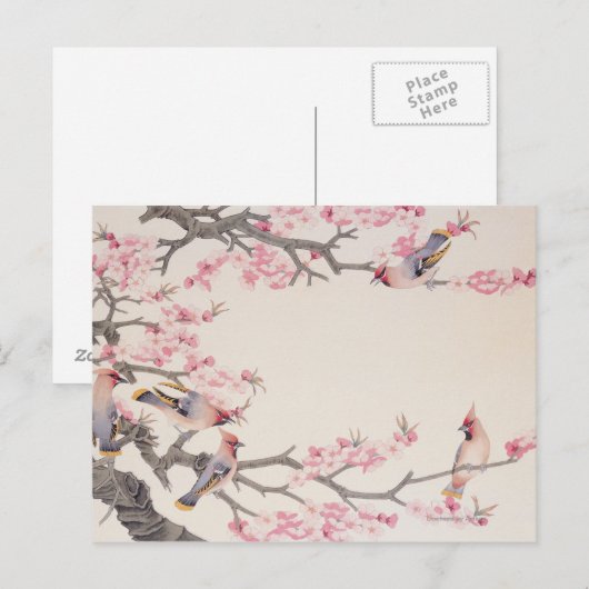 Zingende vogels in het voorjaar briefkaart (Voorkant / Achterkant)