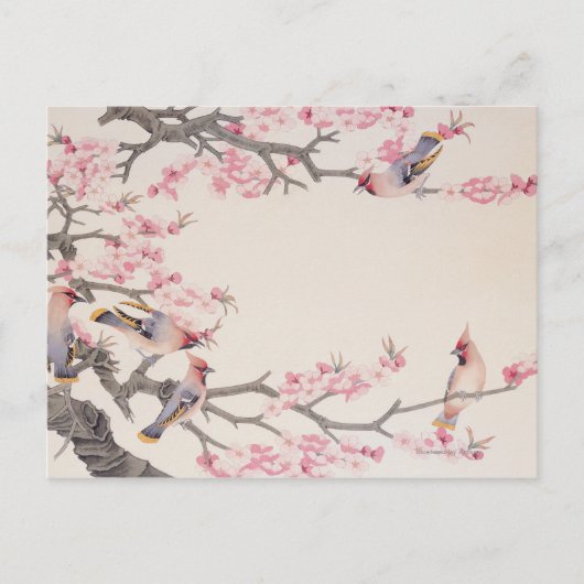 Zingende vogels in het voorjaar briefkaart (Voorkant)