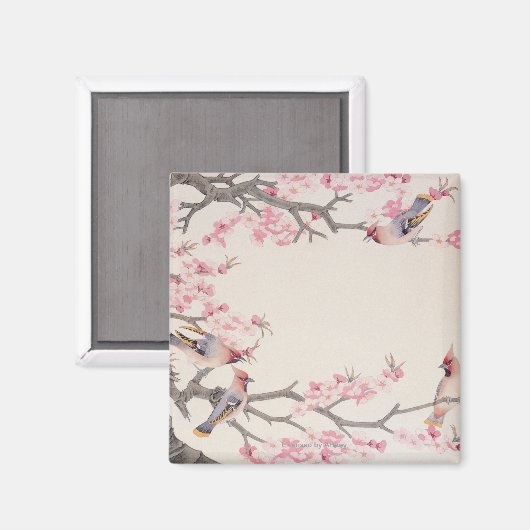 Zingende vogels in het voorjaar magneet (Voorkant / Achterkant)