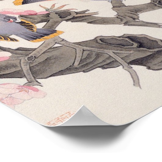 Zingende vogels in het voorjaar poster (Hoek)