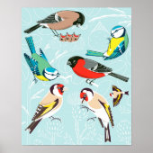 Zingende vogels poster (Voorkant)