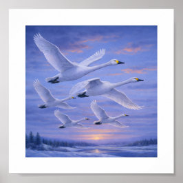 Zingende zwanen in winterlucht – Japanse wilde vog Poster