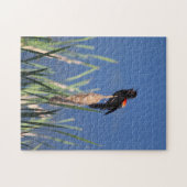 Zingende zwarte-vogelpuzzel legpuzzel (Horizontaal)