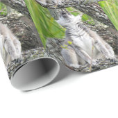 Zingerpapier Cadeaupapier (Rol Hoek)