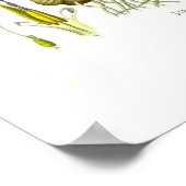 Zingiber officinalis (gember) poster (Hoek)