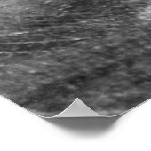 Zingzalm in Astoria OF foto's Poster (Hoek)