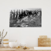 Zingzalm in Astoria OF foto's Poster (Keuken)