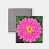 Zinnia1 Magneet (Voorkant / Achterkant)