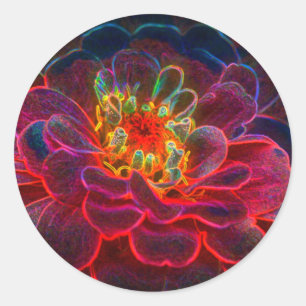 Zinnia Abstracte Art Flower Ronde Sticker