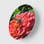 zinnia bij bijen en koraal ronde klok (Hoek)