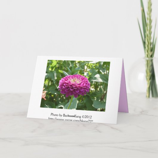 Zinnia Birthday Kaart (Achterkant)
