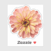 Zinnia Bloem Bloem Natuur Fotografie Sticker (Vel)