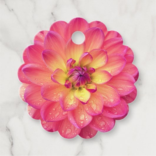 Zinnia bloem roze perzik geel bedankjes labels (Voorkant)