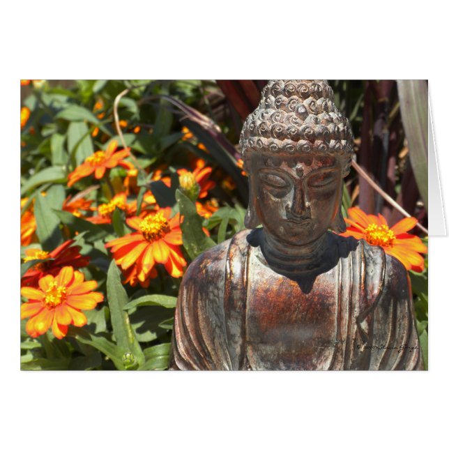 Zinnia Buddha Card (Voorkant Horizontaal)