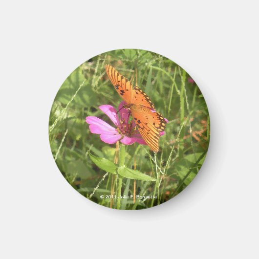 Zinnia & Butterfly Magnet (Voorkant)