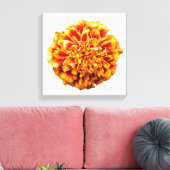 Zinnia Canvas Afdruk (Insitu (Woonkamer))