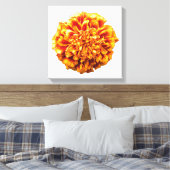 Zinnia Canvas Afdruk (Insitu (Slaapkamer))