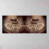 Zinnia Daisy Flower Sepia  Abstract Poster (Voorkant)