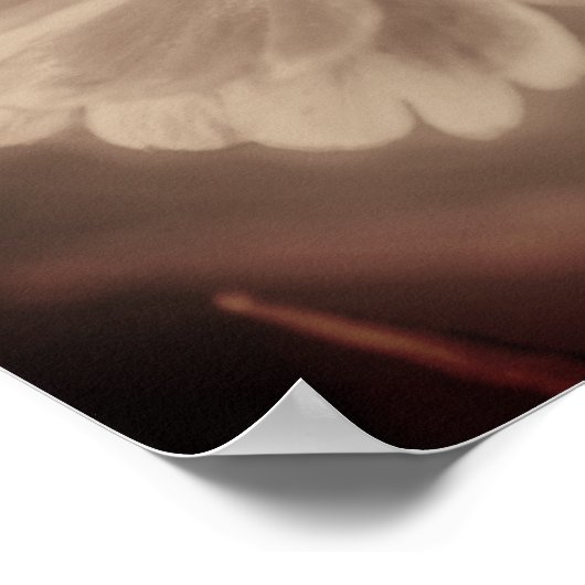 Zinnia Daisy Flower Sepia  Abstract Poster (Hoek)