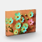 Zinnia Elegans Bloemen Fotoblokken (Links)