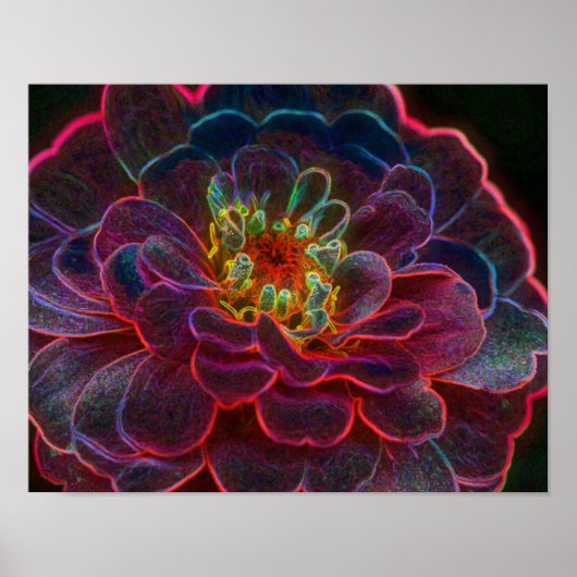 Zinnia Fantasy Abstract Flower Art Poster (Voorkant)