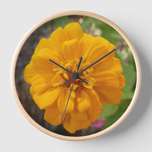 Zinnia Flower Foto Muur Klok