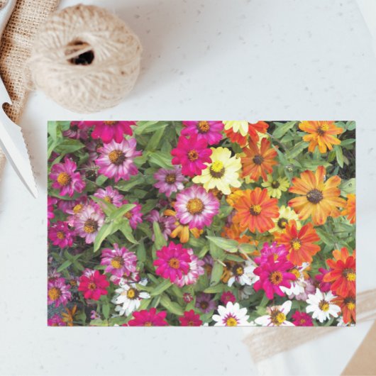 Zinnia Flower Garden Floral Tissuepapier