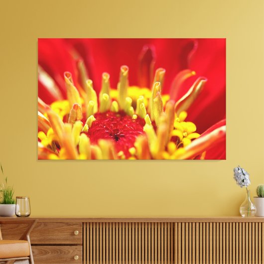 Zinnia Flower Heart Canvas Afdruk (Insitu (Woonkamer))