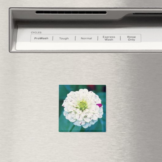 Zinnia Flower Magnet (Insitu (Vaatwasser))
