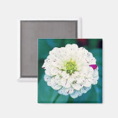 Zinnia Flower Magnet (Voorkant / Achterkant)