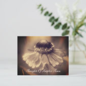 Zinnia Flower Simpler Times Inspirerend Briefkaart (Staand voorkant)
