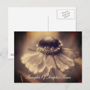 Zinnia Flower Simpler Times Inspirerend Briefkaart