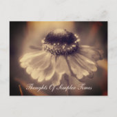 Zinnia Flower Simpler Times Inspirerend Briefkaart (Voorkant)
