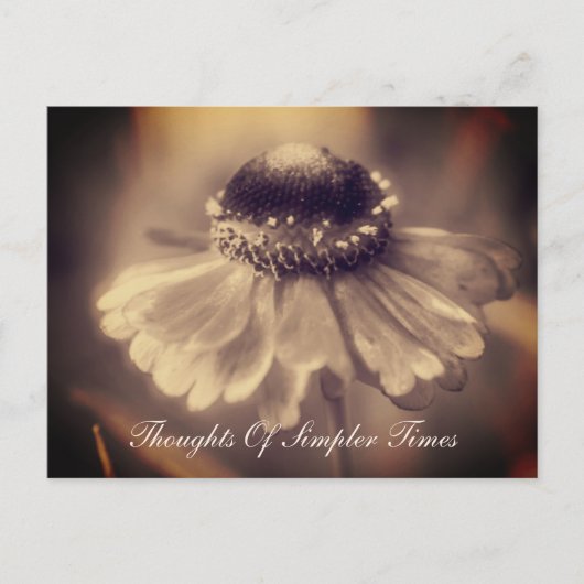 Zinnia Flower Simpler Times Inspirerend Briefkaart (Voorkant)