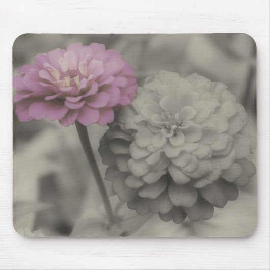 Zinnia Flowers sluiten zwart en wit Mousepad op Muismat (Voorkant)