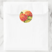 Zinnia Flowers Sticker (Tas)