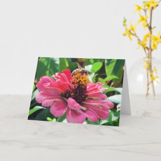 Zinnia Honey Bee Kaart