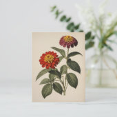Zinnia illustratie briefkaart (Staand voorkant)