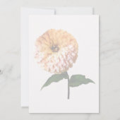 Zinnia in de schijnwerpers kaart (Achterkant)