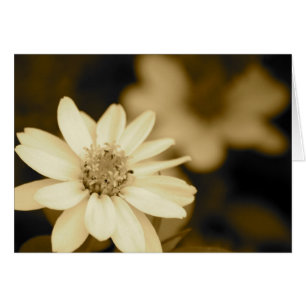 Zinnia in Sepia Card