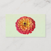 Zinnia in tinten van Sinaasappel Visitekaartje (Achterkant)