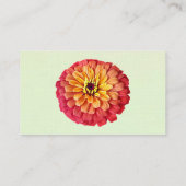 Zinnia in tinten van Sinaasappel Visitekaartje (Achterkant)
