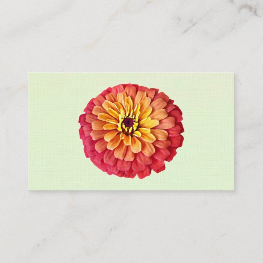 Zinnia in tinten van Sinaasappel Visitekaartje (Achterkant)