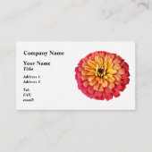 Zinnia in tinten van Sinaasappel Visitekaartje (Voorkant)