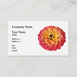 Zinnia in tinten van Sinaasappel Visitekaartje